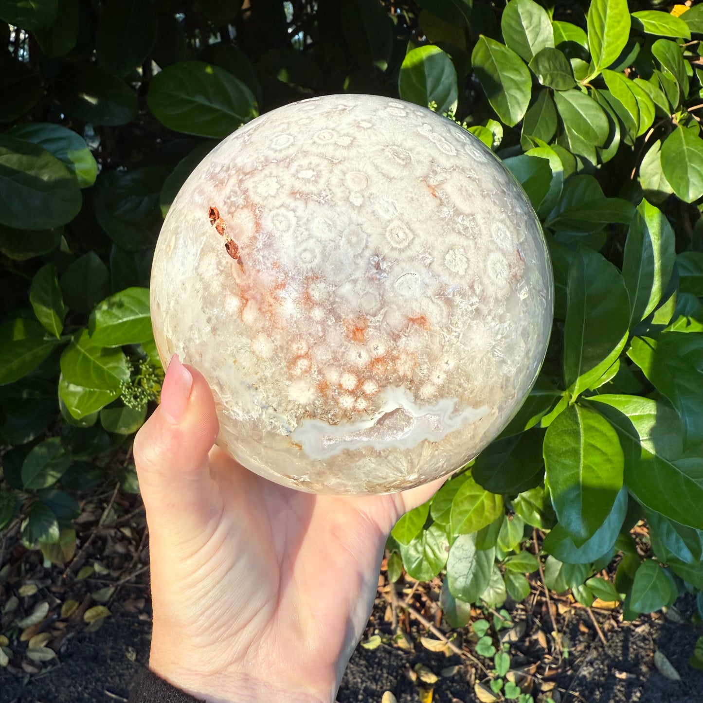 Pink Amethyst & Flower Agate Druzy Crystal Sphere 6lbs