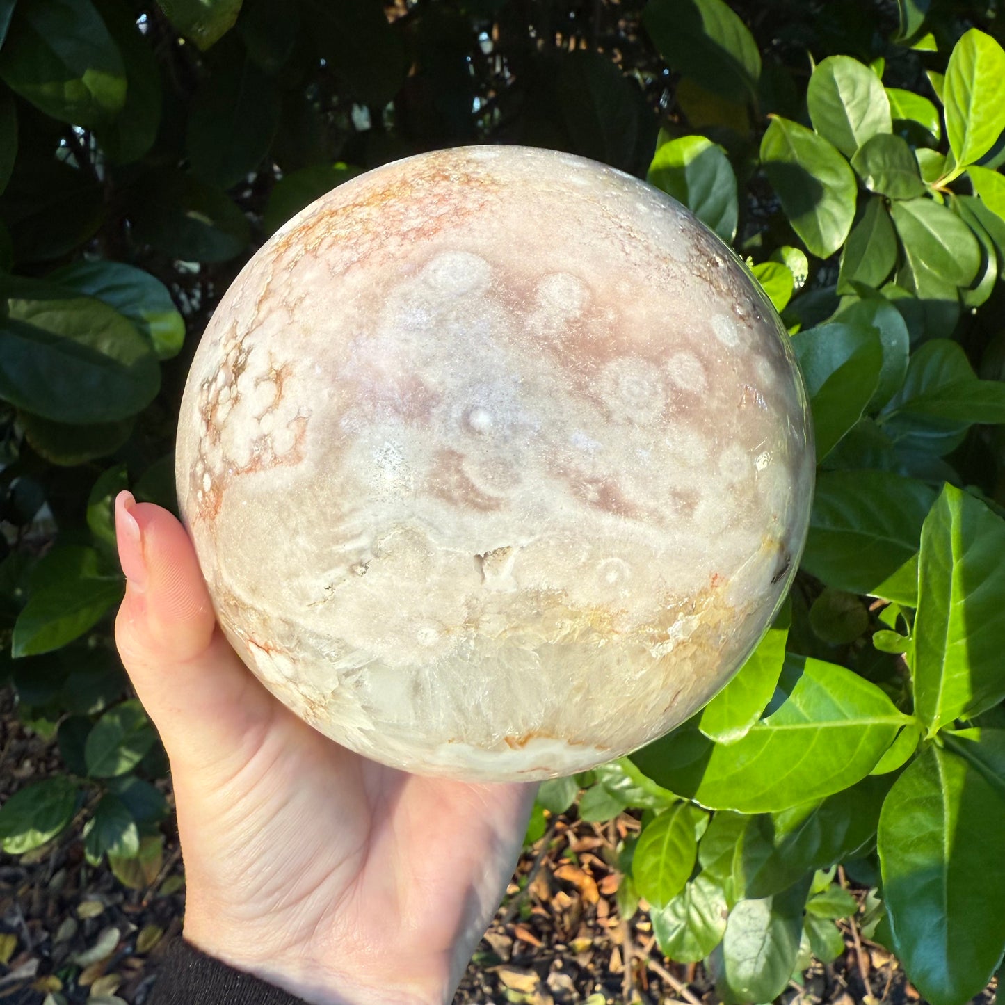 Pink Amethyst & Flower Agate Druzy Crystal Sphere 6lbs