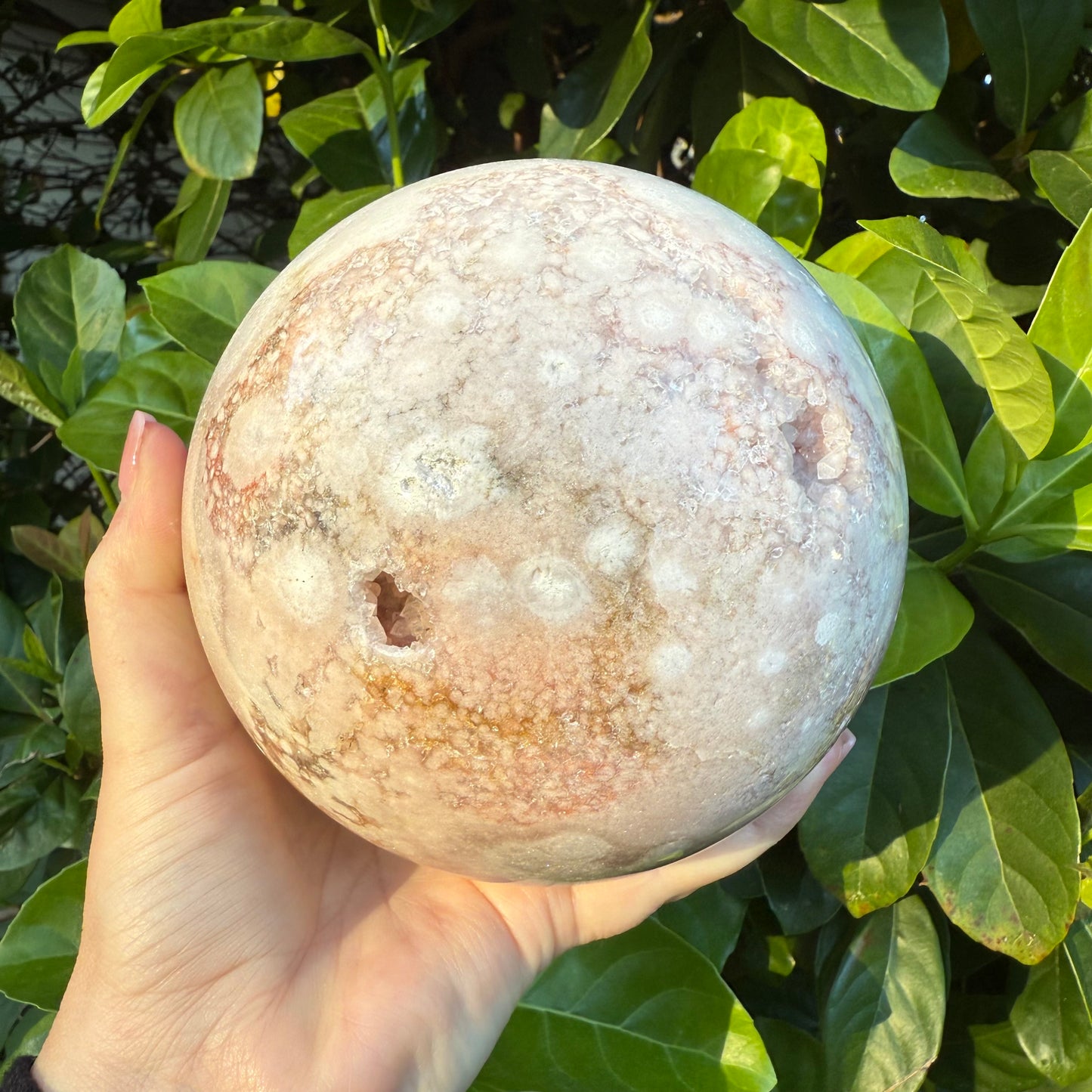 Pink Amethyst & Flower Agate Druzy Crystal Sphere 6lbs
