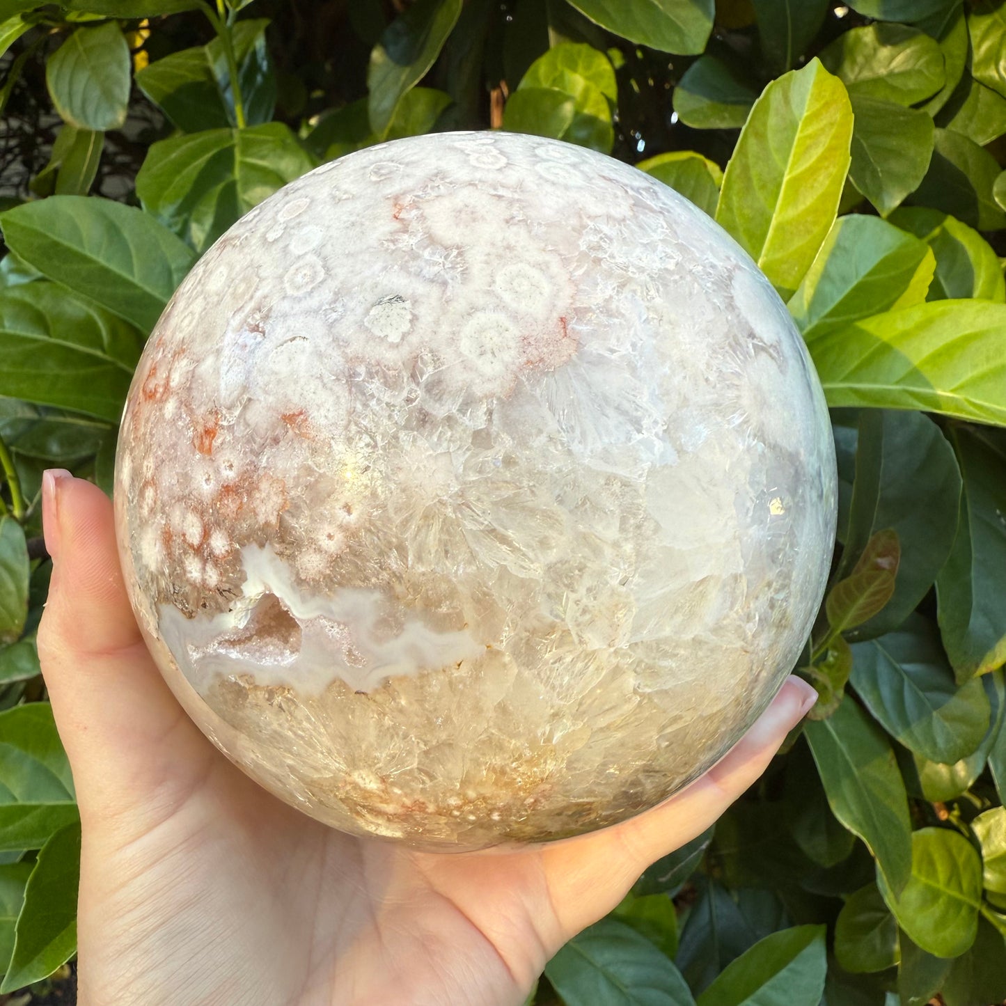 Pink Amethyst & Flower Agate Druzy Crystal Sphere 6lbs