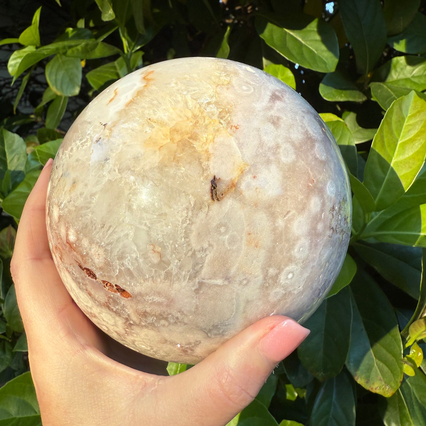 Pink Amethyst & Flower Agate Druzy Crystal Sphere 6lbs