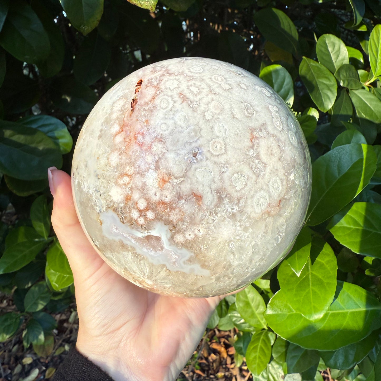 Pink Amethyst & Flower Agate Druzy Crystal Sphere 6lbs
