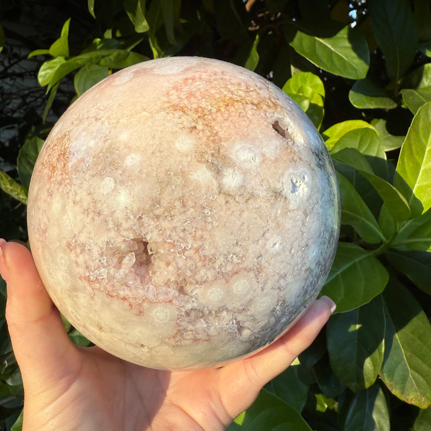 Pink Amethyst & Flower Agate Druzy Crystal Sphere 6lbs