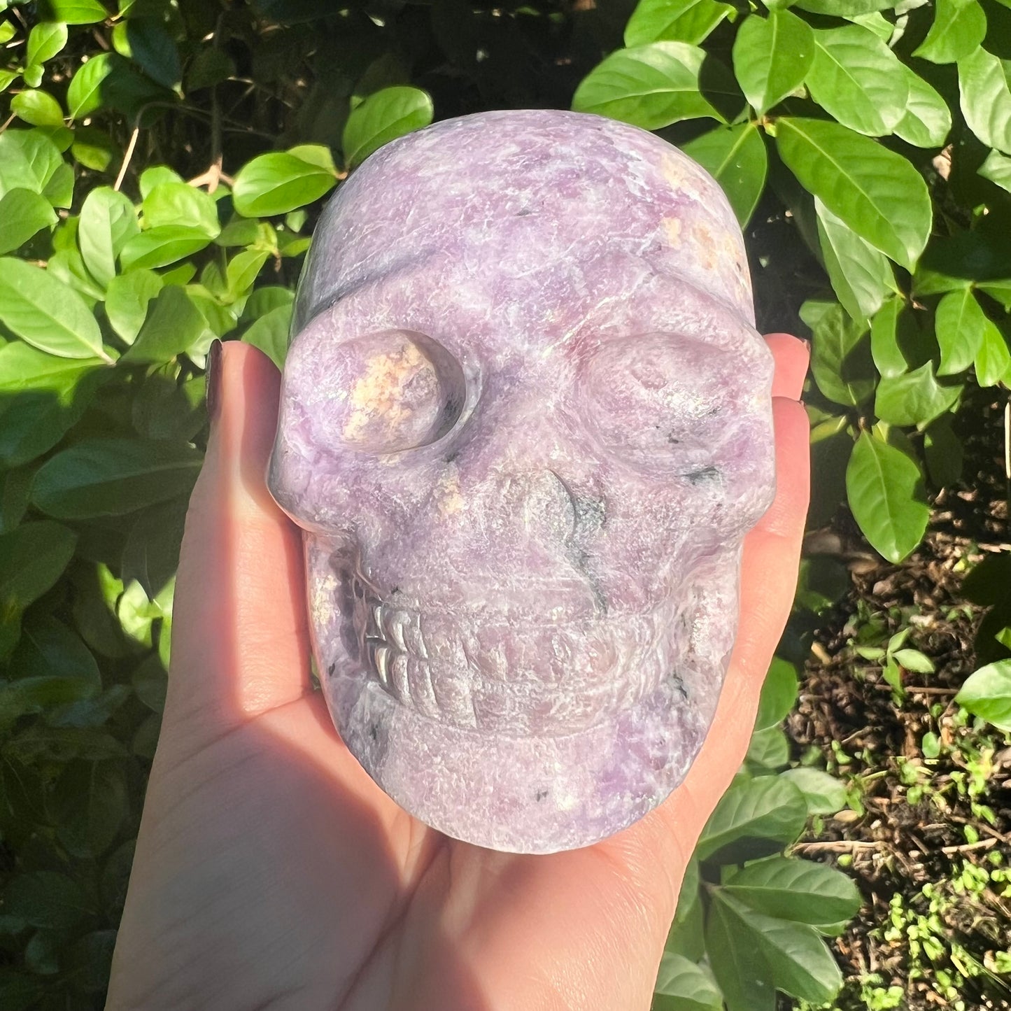 Lepidolite Crystal Skull Carving 2lbs Firm