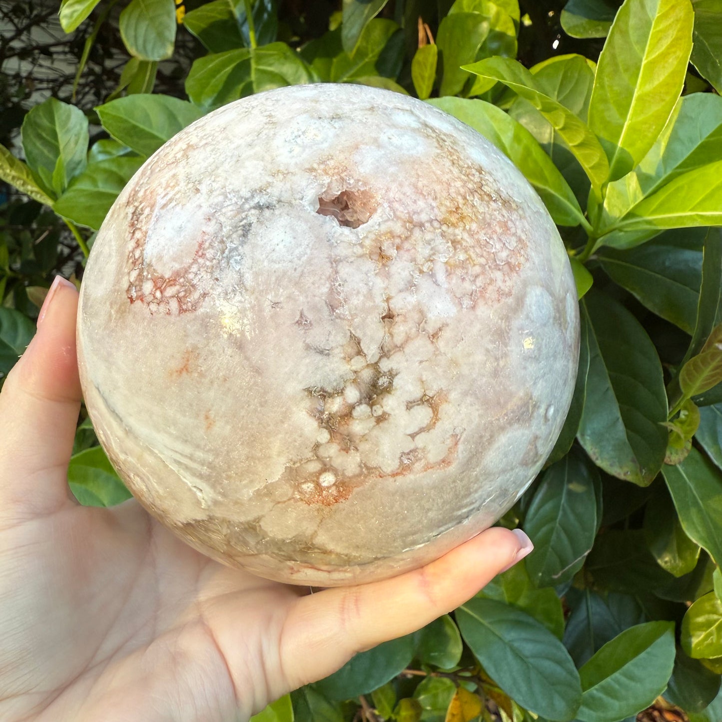 Pink Amethyst & Flower Agate Druzy Crystal Sphere 6lbs