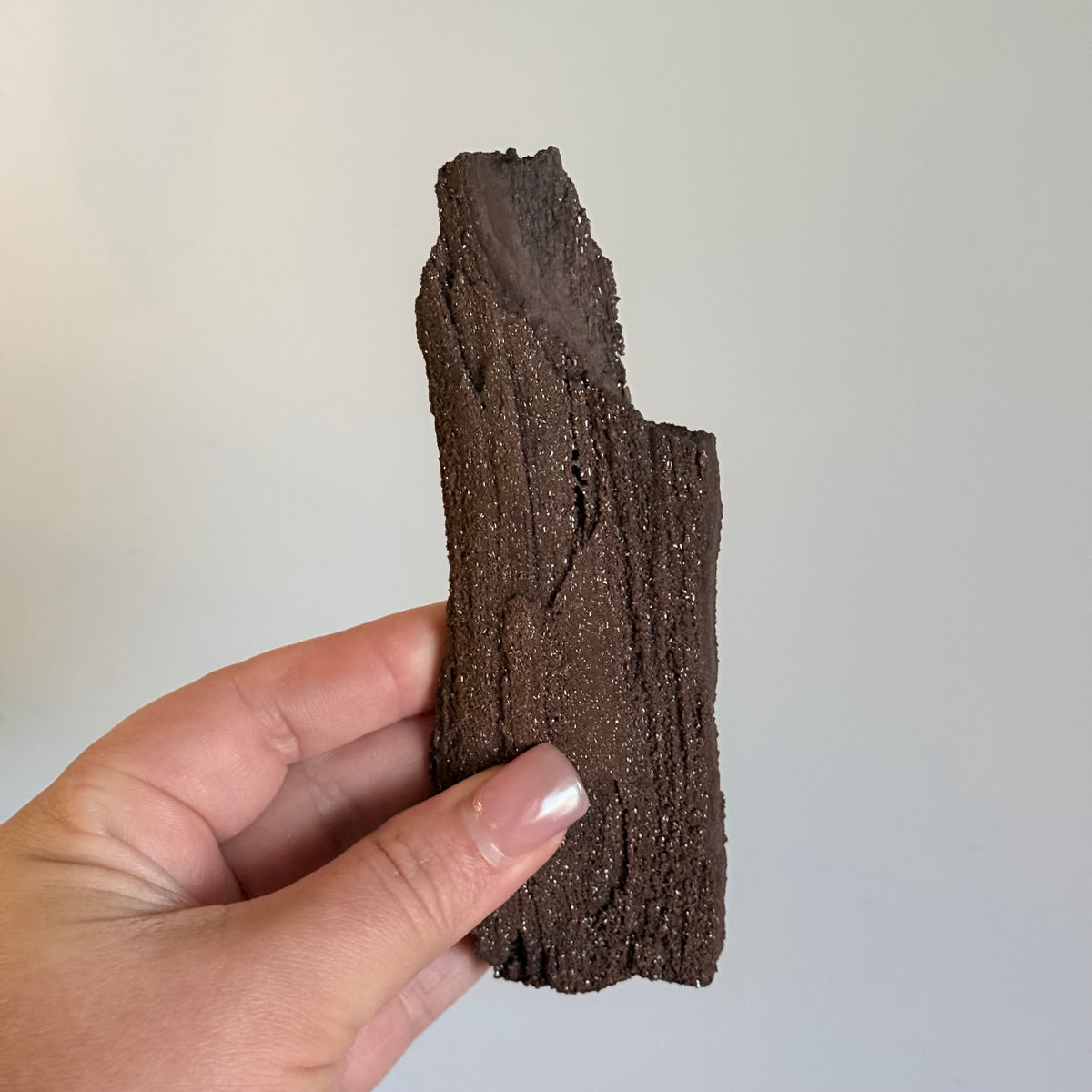 Sparkly Petrified Wood Crystal