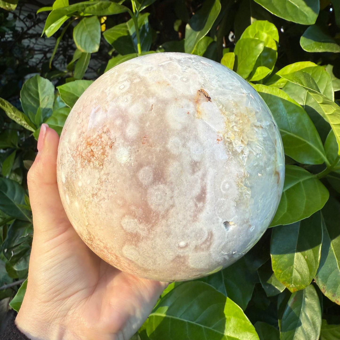 Pink Amethyst & Flower Agate Druzy Crystal Sphere 6lbs