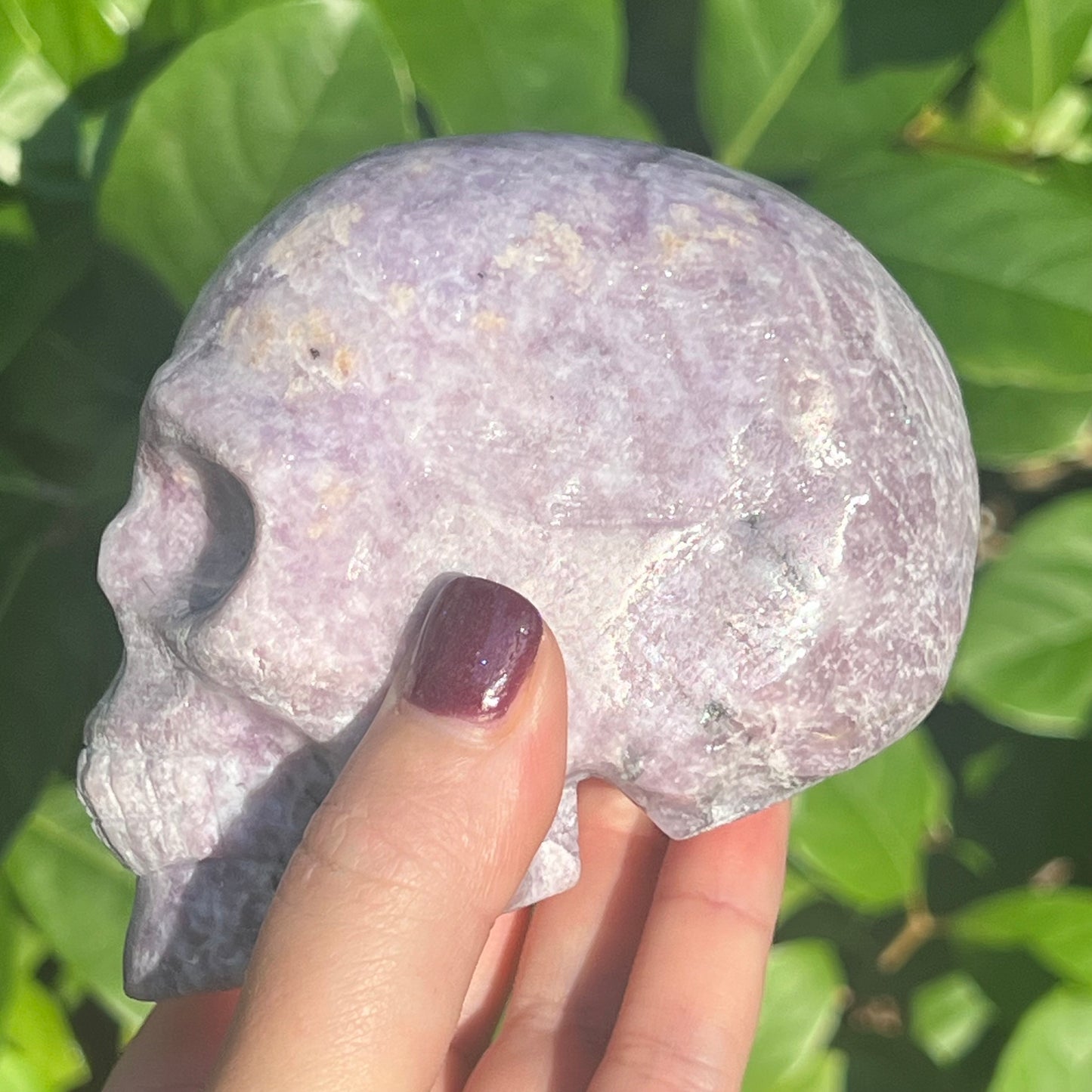 Lepidolite Crystal Skull Carving 2lbs Firm