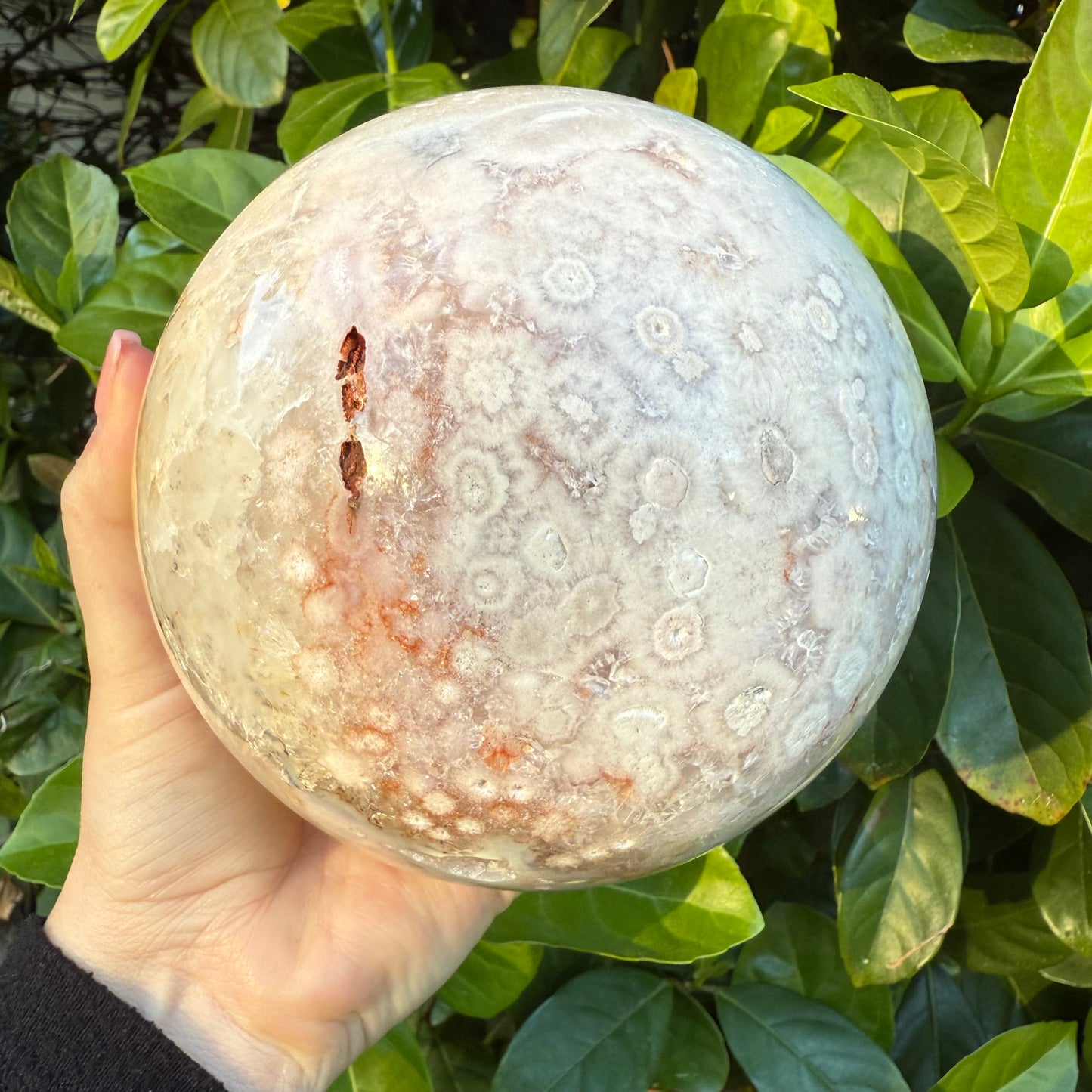 Pink Amethyst & Flower Agate Druzy Crystal Sphere 6lbs