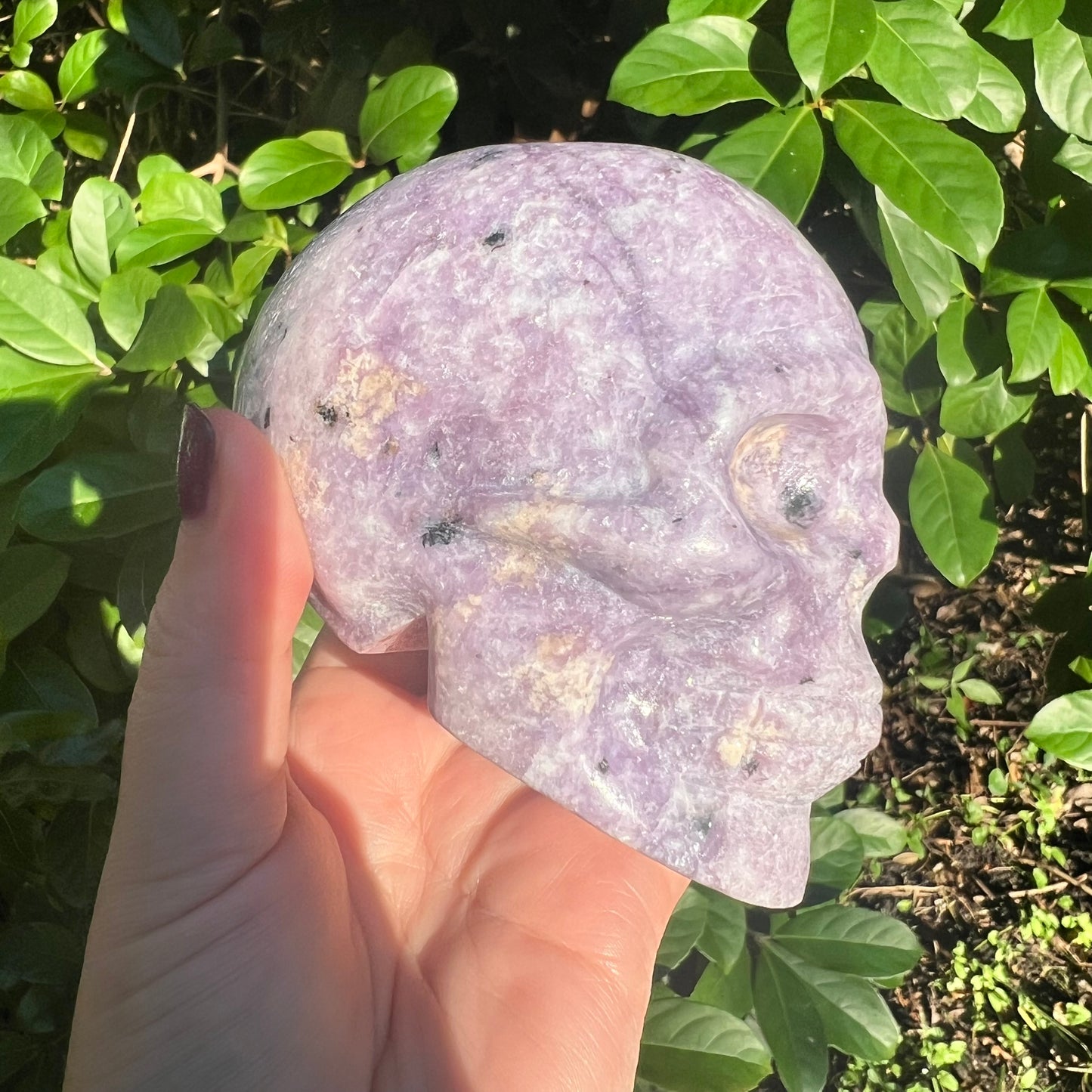 Lepidolite Crystal Skull Carving 2lbs Firm