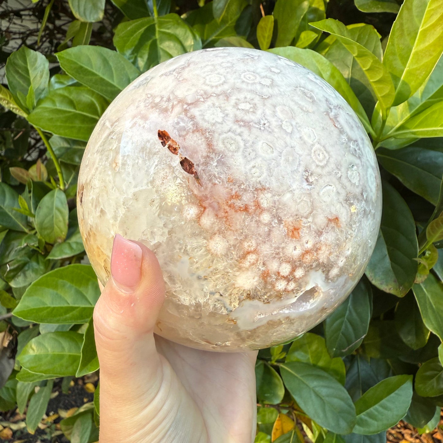 Pink Amethyst & Flower Agate Druzy Crystal Sphere 6lbs