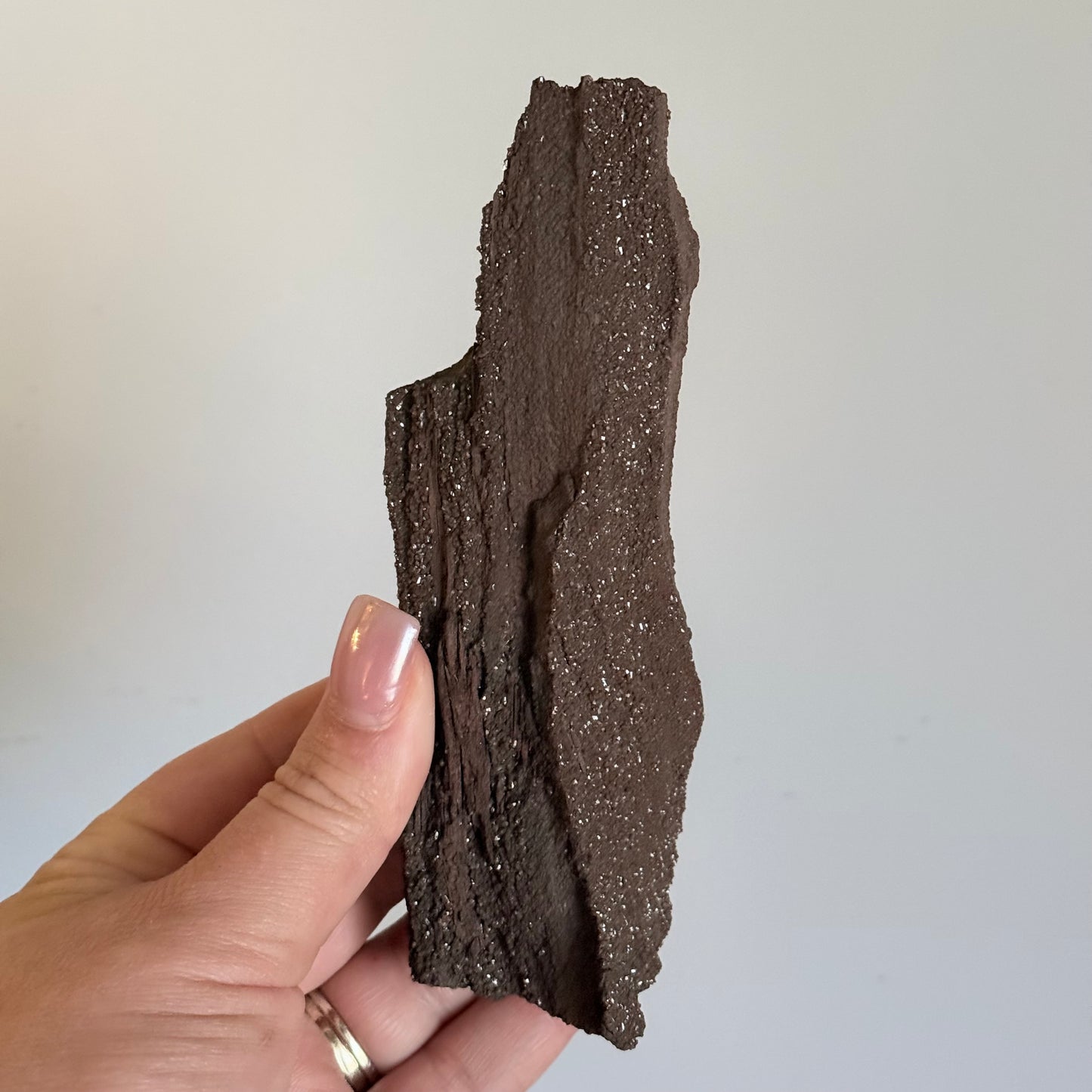 Sparkly Petrified Wood Crystal