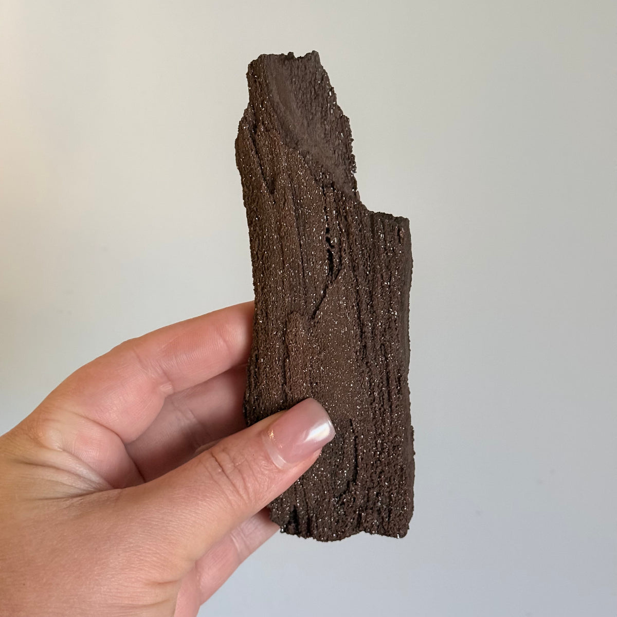 Sparkly Petrified Wood Crystal