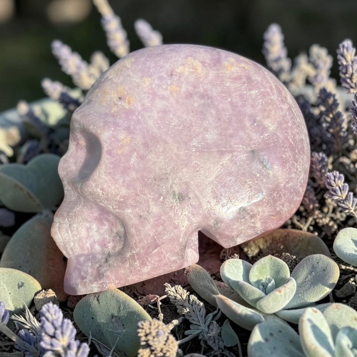 Large Lepidolite Crystal Skull Carving (1.94 lb) – Hand-Carved Statement Piece