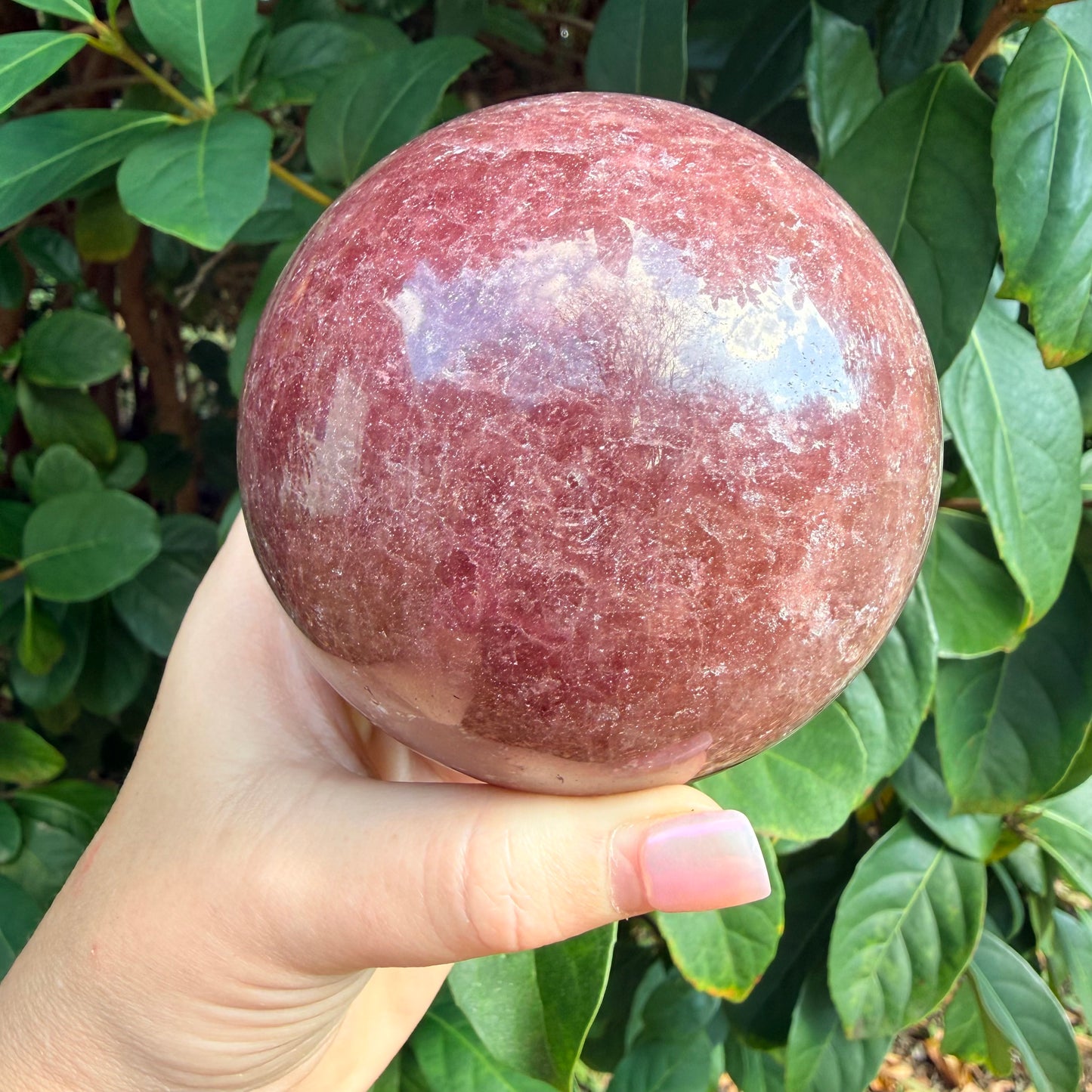 Sparkled Strawberry Quartz Crystal Sphere XXL